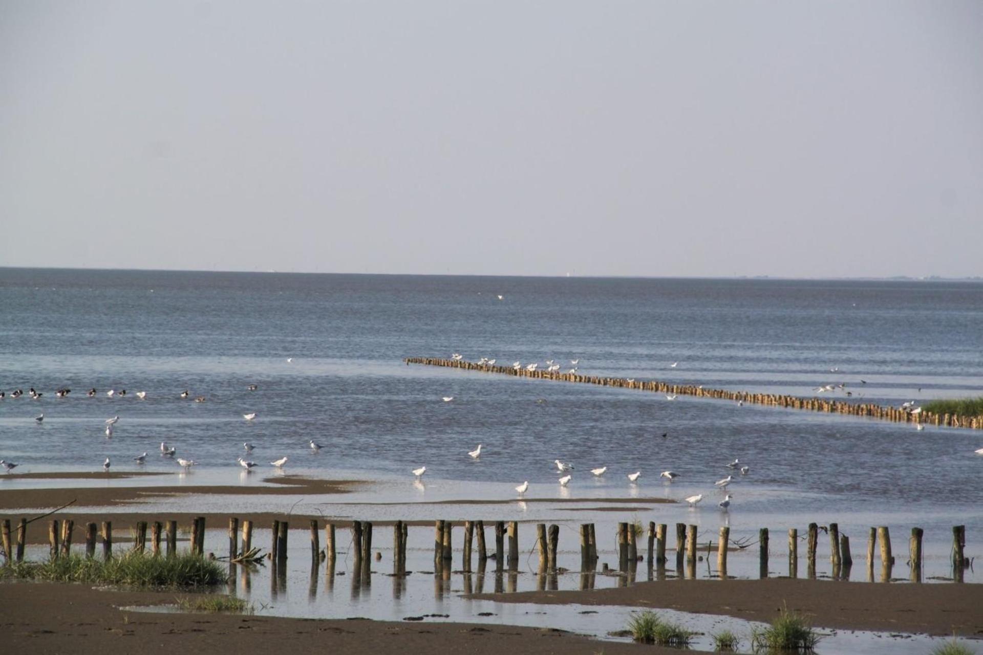 Ferienhof Schoof No2 Friedrichskoog Dış mekan fotoğraf
